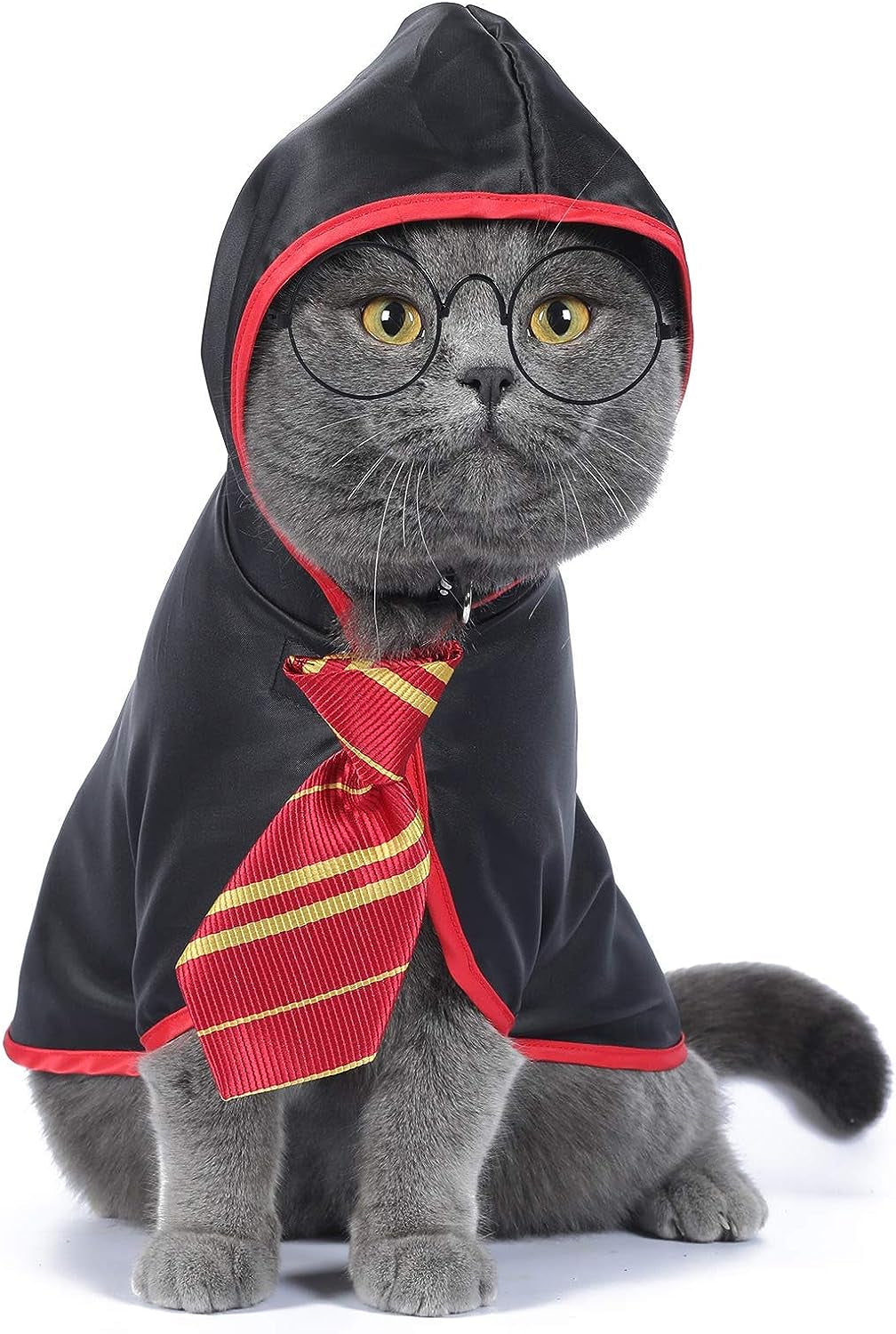 Anime-Inspired Cat Halloween Costume - Wizard-Themed Pet Outfit for Small Dogs and Kittens (Large, Red)