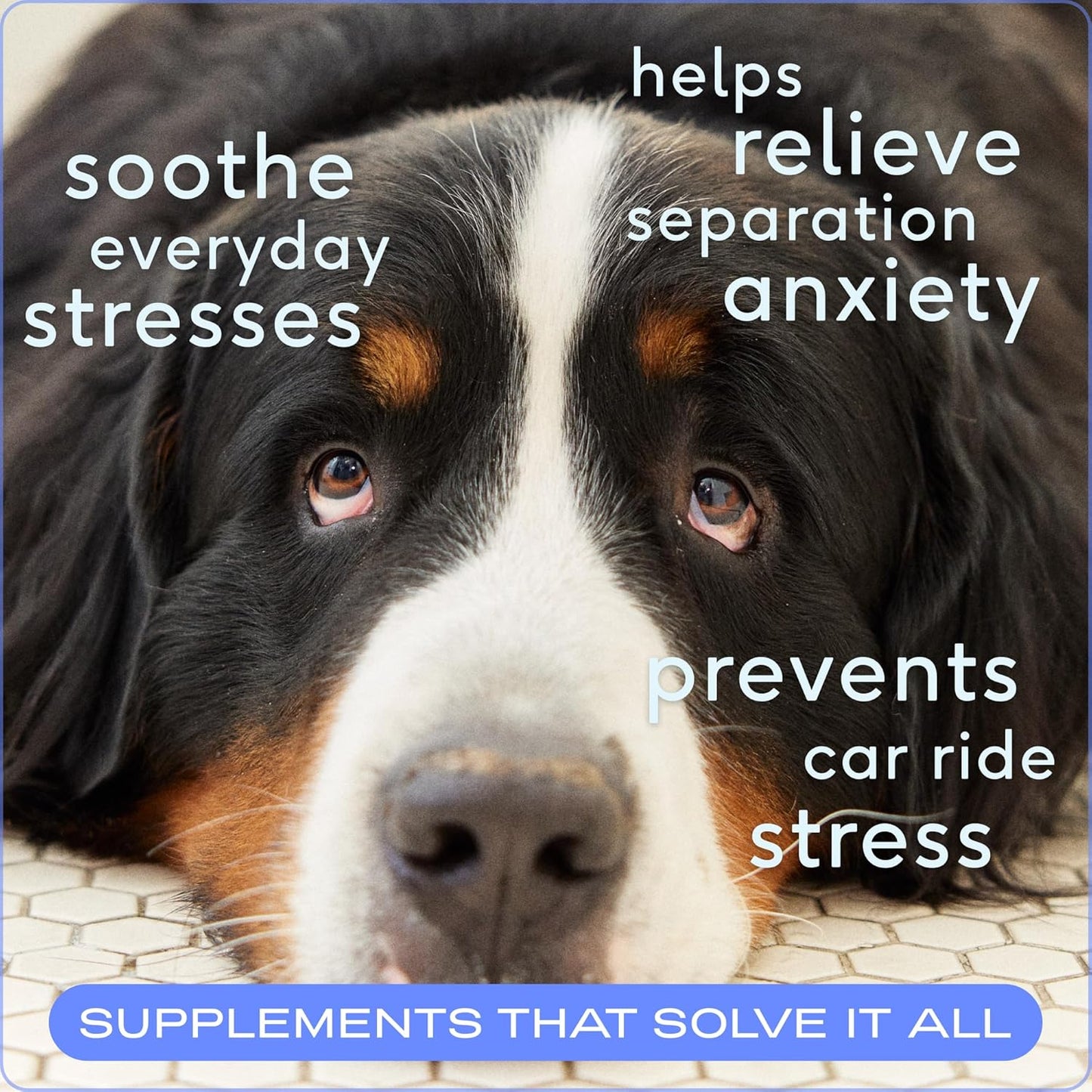 Calming Chews for Dogs - Melatonin for Dogs Anxiety Relief - Grain Free All Natural Hemp Calming Treats & L-Theanine Helps Manage Stress & Separation Anxiety - Puppy Sleep Aid - 60 Chews