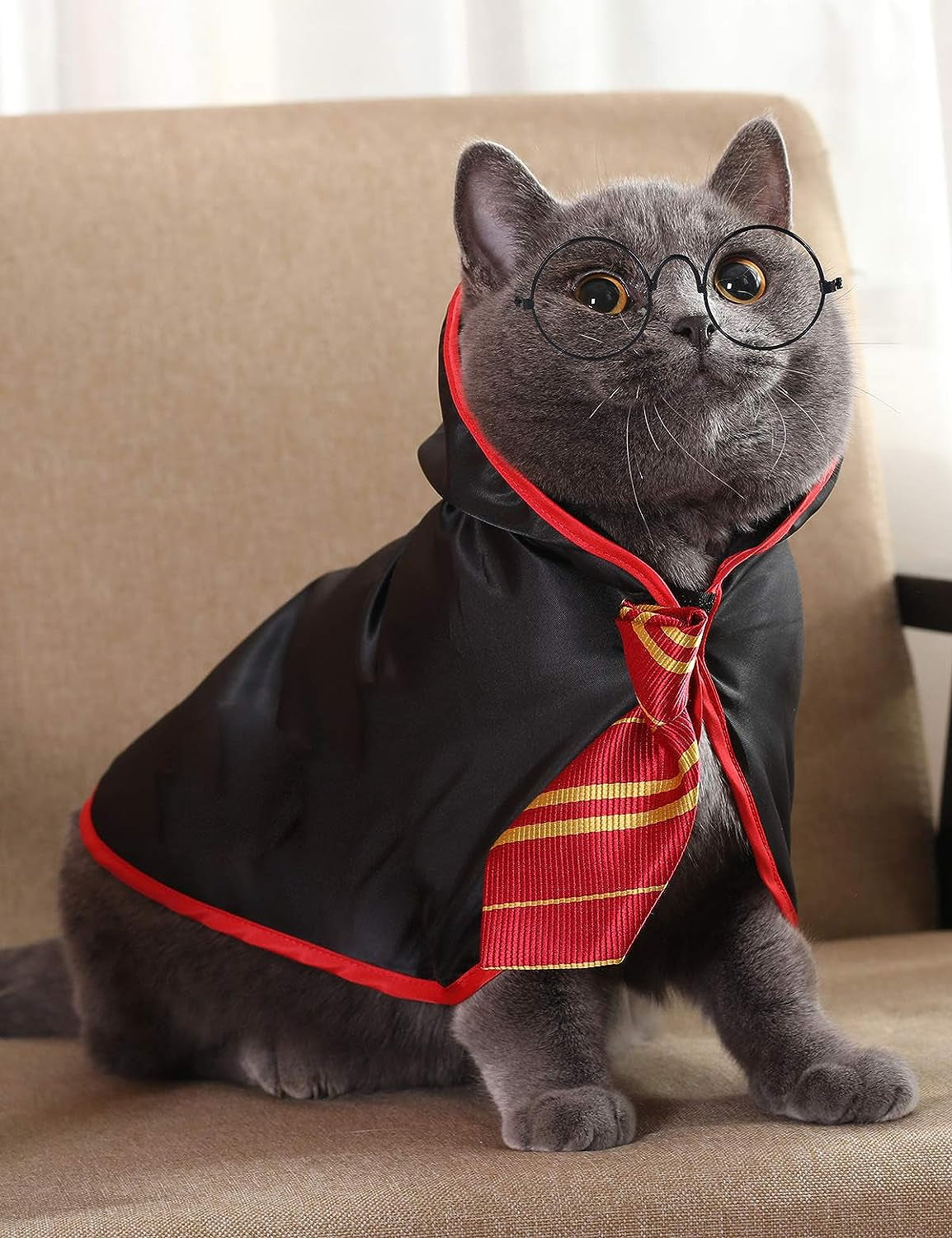 Anime-Inspired Cat Halloween Costume - Wizard-Themed Pet Outfit for Small Dogs and Kittens (Large, Red)