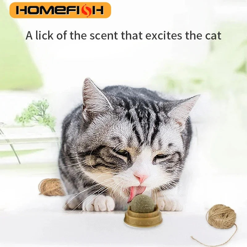 HOMEFISH Natural Catnip Cat Wall Stick-On Ball Toy Scratchers Treats Healthy Removes Balls to Promote Digestion Cat Grass Snack
