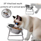 15° Tilted Cat Bowl, Elevated Cat Bowls - for Small Cats/Dogs,Indoor Stainless Steel Anti-Vomiting Pet Bowls,Spine Friendly