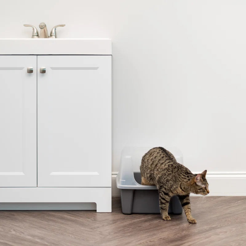 Open-Top Plastic Cat Litter Box with Shield with Scoop