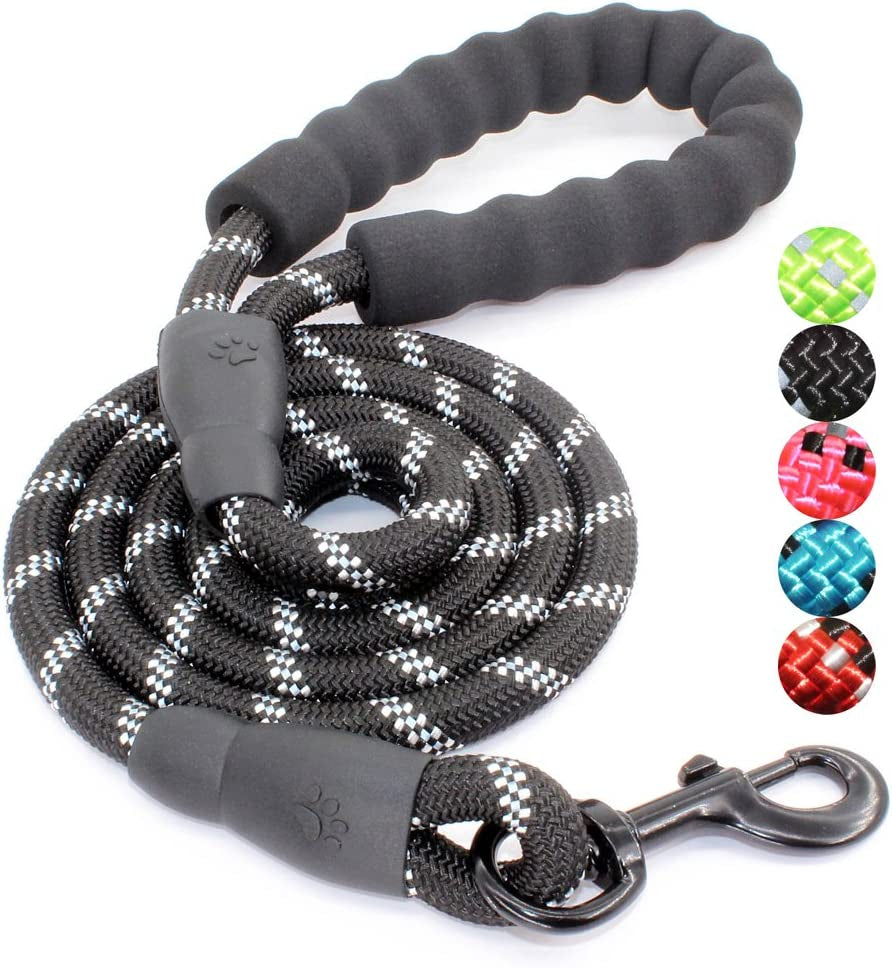 Harnesses & Leashes & Collars
