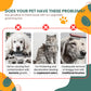 Water Brush for Dog Cat Mist Brush for Short Long Haired Dogs Cats Slicker Brush with Spray for Pet Grooming Cat Dog Steam Brush for Shedding