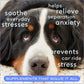 Calming Chews for Dogs - Melatonin for Dogs Anxiety Relief - Grain Free All Natural Hemp Calming Treats & L-Theanine Helps Manage Stress & Separation Anxiety - Puppy Sleep Aid - 60 Chews