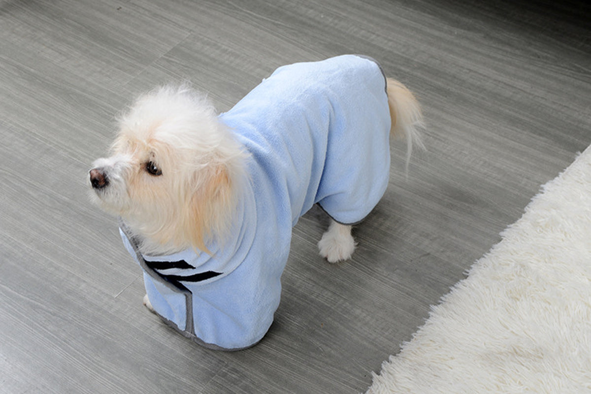 Apparel