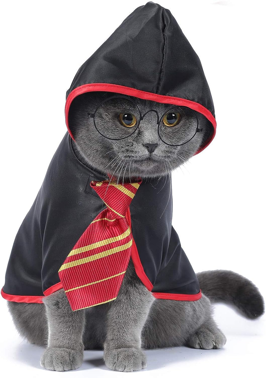 Anime-Inspired Cat Halloween Costume - Wizard-Themed Pet Outfit for Small Dogs and Kittens (Large, Red)