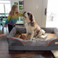 Luxurious Jumbo Orthopedic Memory Foam Dog Bed - Waterproof Elevated Cushion with Removable Cover for Ultimate Comfort