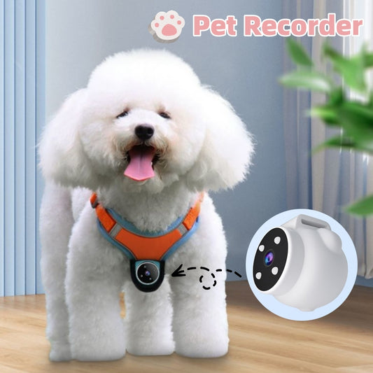 Capture Every Adventure with the Pets Recorder Pet Tracker Collar - The Ultimate Action Camera for Dogs and Cats!